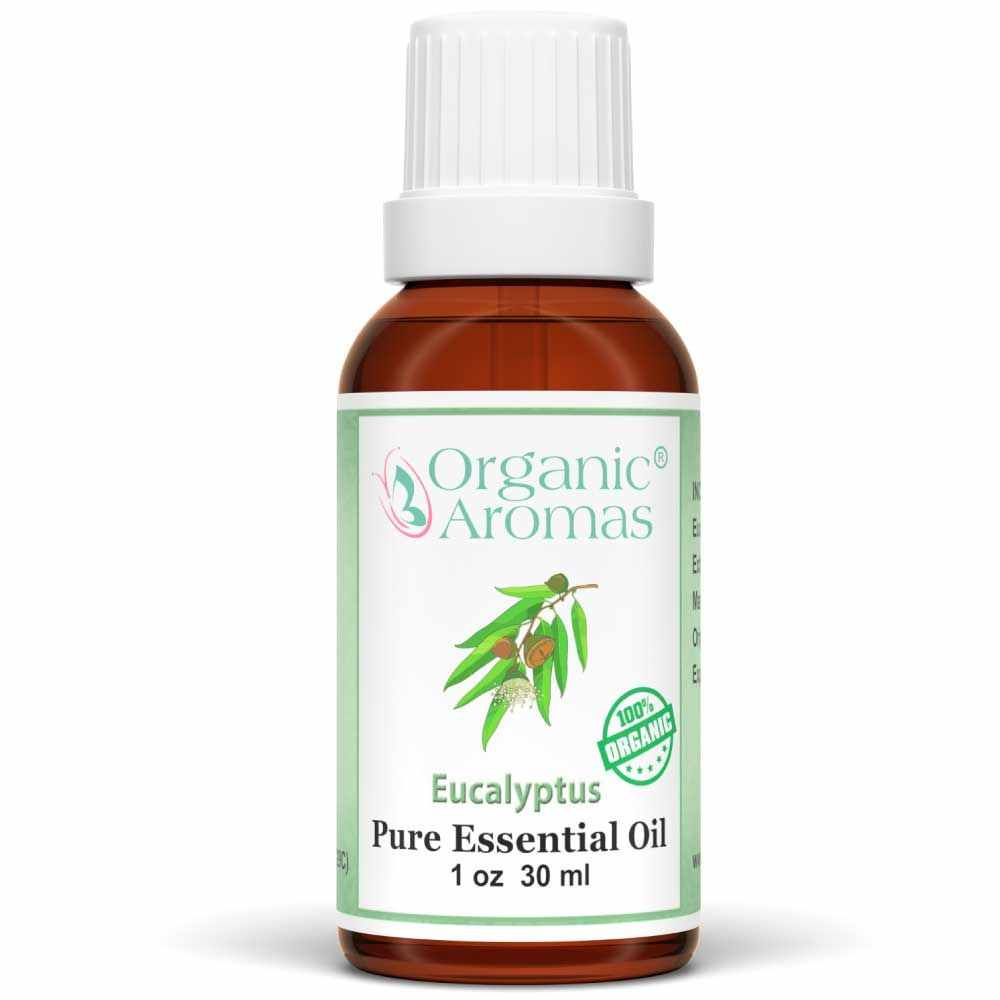 organic-aromas-eucalyptus